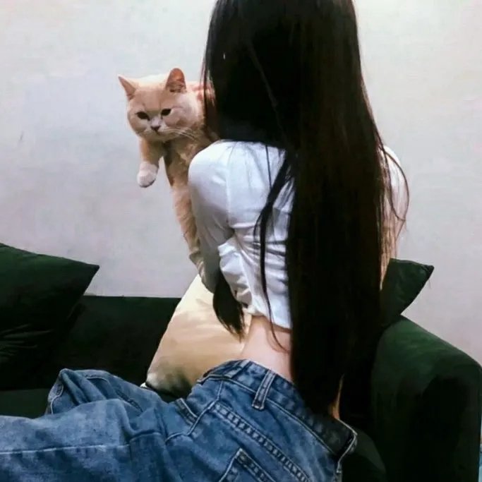 机械西游